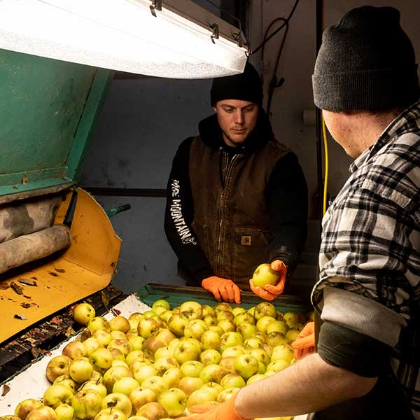 Hard Apple Cider Making Process at Pennings Farm Cidery
